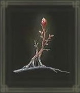 エルデンリング_聖血の木の芽_アイコン