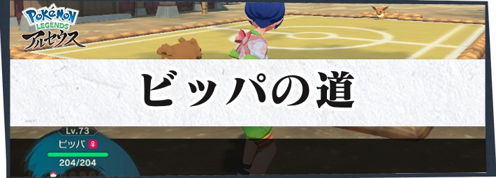 ポケモンLA_サブ任務108_いっぴき道_ビッパの道