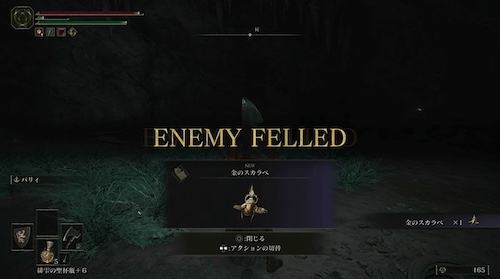 エルデンリング_金のスカラベ_入手時