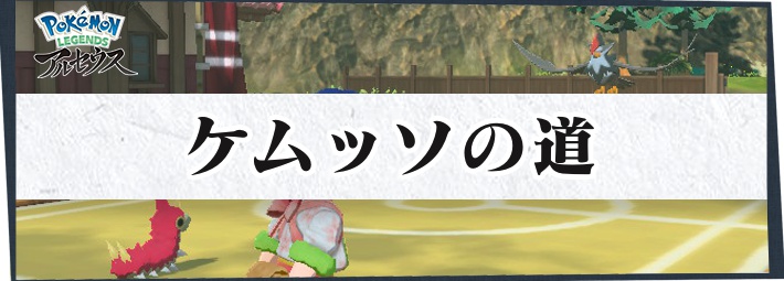 ポケモンLA_サブ任務121_いっぴき道_ケムッソの道