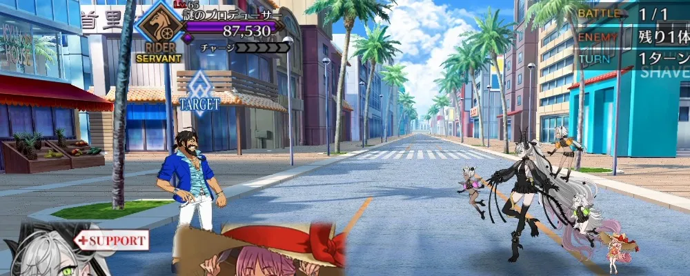 fgo 11