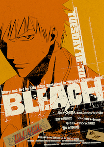 BLEACH_kv