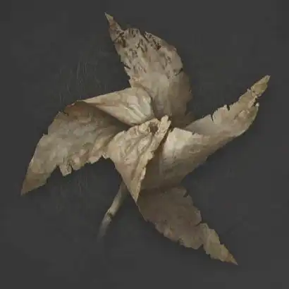 ウツロノハネ_実験手記2部_アイコン