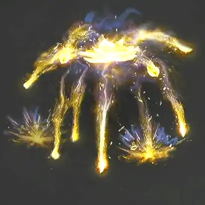 ウツロノハネ_金の蓮火_アイコン