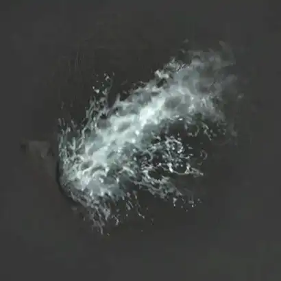 ウツロノハネ_白克虜の残響_アイコン