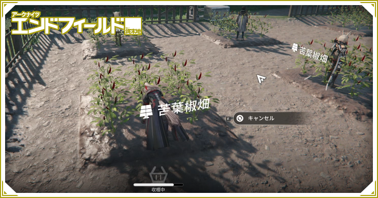 栽培のやり方_エンドフィールド