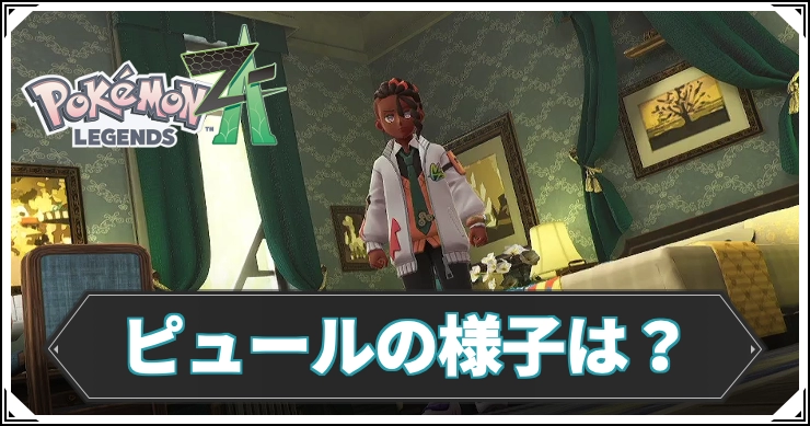 ピュールの様子は?の攻略チャート