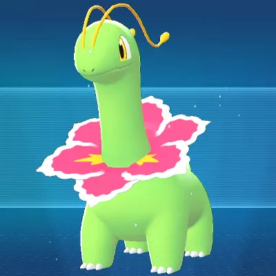 【良品】　金の空、銀の海　ヤドキング　リングマ　メガニウム 良品】 金の空、銀の海 ヤドキング リングマ メガニウム