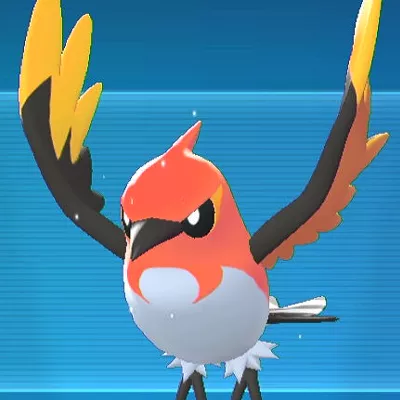 ポケモンZA_ヒノヤコマ_アイコン
