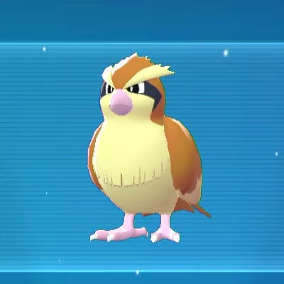 ポケモンZA】ポッポの進化と出現場所【レジェンズZA】 | AppMedia