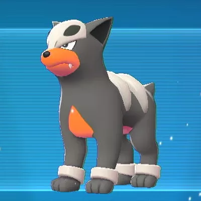 ポケモンZA_デルビル_アイコン