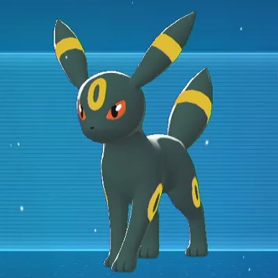 ポケモンZA】ブラッキーの進化と出現場所【レジェンズZA