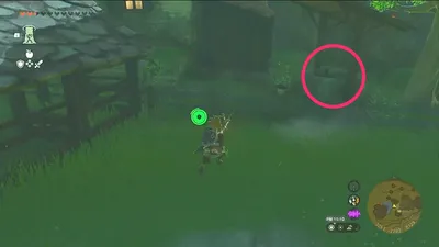 ティアキン_おすすめ入手_フィールド_古びた髪留め