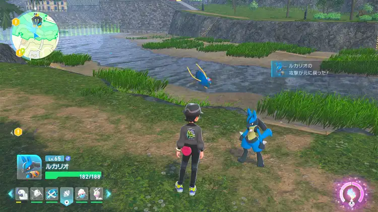 _ポケモンZA_11番ワイルドゾーン_オヤブン_ブロスター