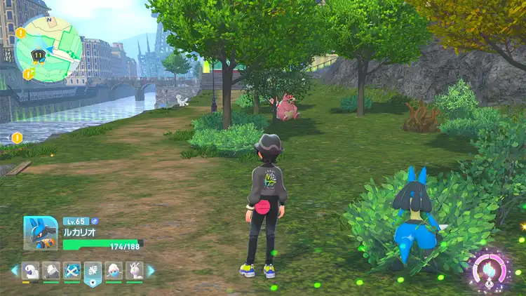 _ポケモンZA_11番ワイルドゾーン_オヤブン_ヤドラン