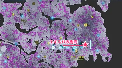 ティアキン_おすすめ入手_マップ_大空の勇者帽子