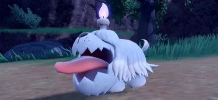 ポケモンSV_ボチ_由来