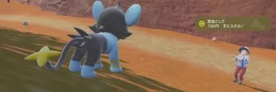 ポケモンSV_お金稼ぎ_トレーナー