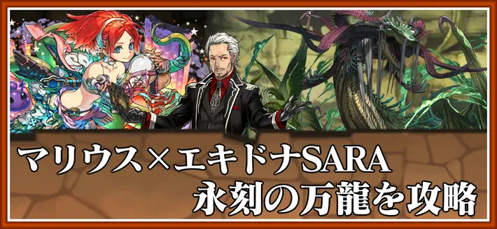 パズドラ_永刻の万龍をマリウス×エキドナSARAで攻略