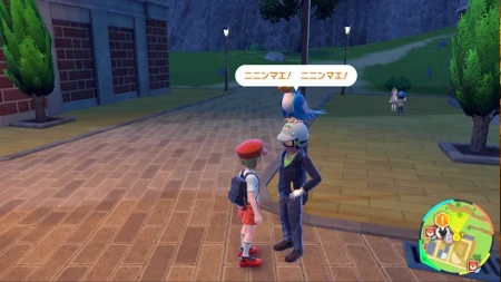 ポケモンSV_チャンプルジム_ジムテスト_答え_3