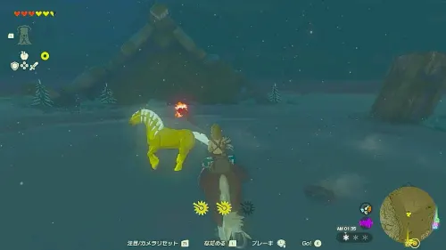 ティアキン_金色の馬の入手方法_フィールド