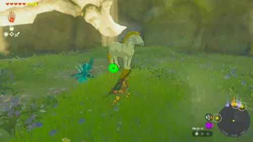 ティアキン_巨大馬の入手方法_フィールド