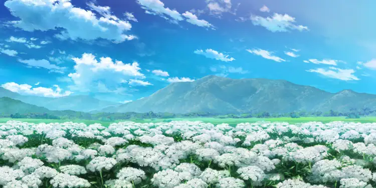 fgo_ドクゼリモドキ_花畑