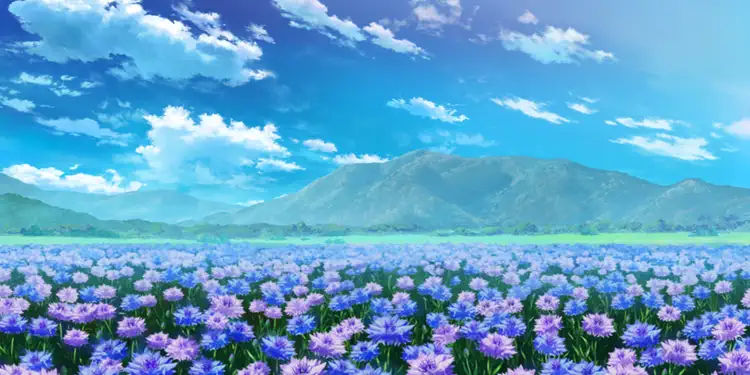 fgo_ヤグルマギク_花畑