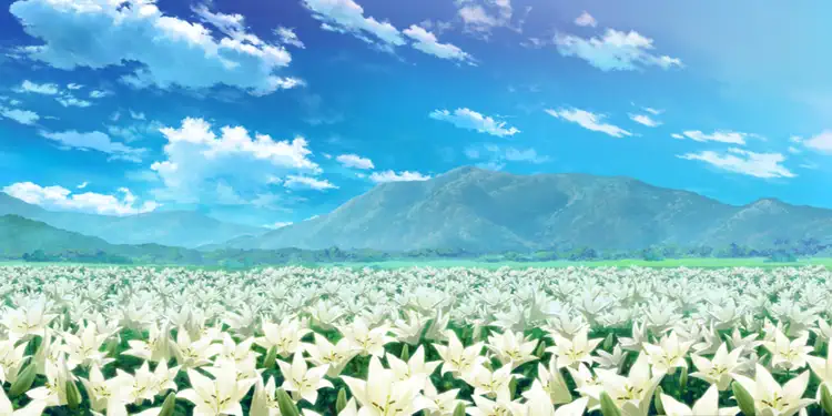 fgo_百合_花畑
