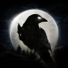 Night Crows_icon
