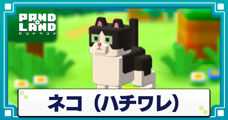 パンドランド_ネコハチワレ_アイキャッチ