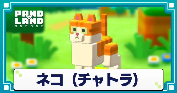パンドランド_ネコチャトラ_アイキャッチ
