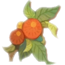 集結の果実_AFKジャーニー