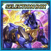 遊戯王_SELECTION BOX Vol.02