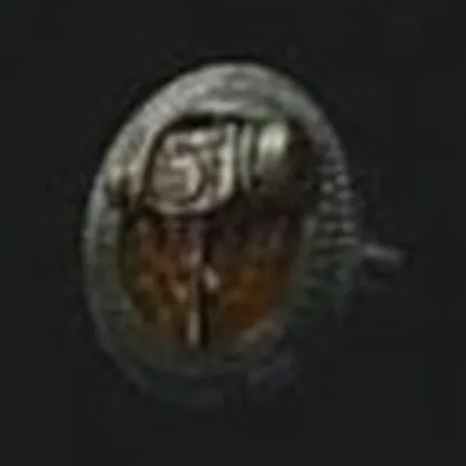 ライズオブP_解決者のアミュレット_アイコン