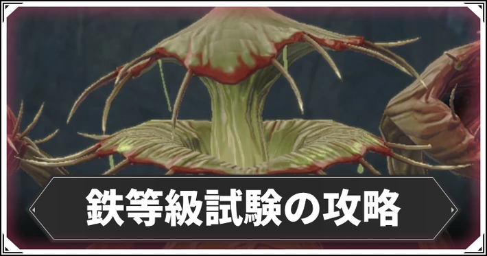 等級昇格試験鉄等級の攻略とボスの場所_ウィザードリィ_アイキャッチ