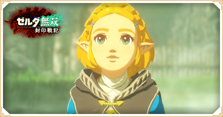 ゼルダ無双封印戦記_雑談・質問掲示板_バナー