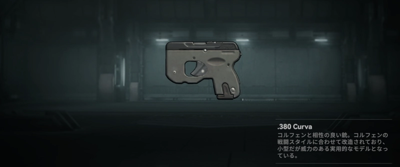 ドルフロ2_.380 Curva