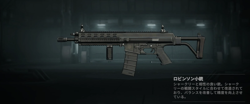 ドルフロ2_ロビンソン小銃