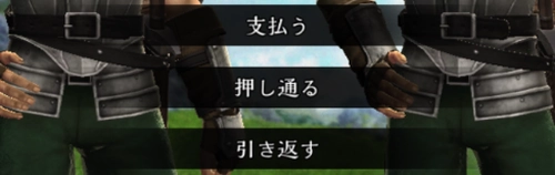 通行料を払うのが安定_ゲイン子爵領の選択肢と導きの灯りの入手方法_ウィズダフネ