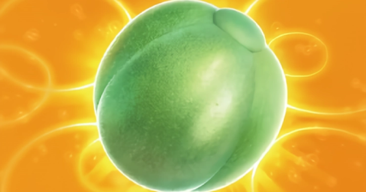 ラムのみ_アイキャッチ_ポケポケ