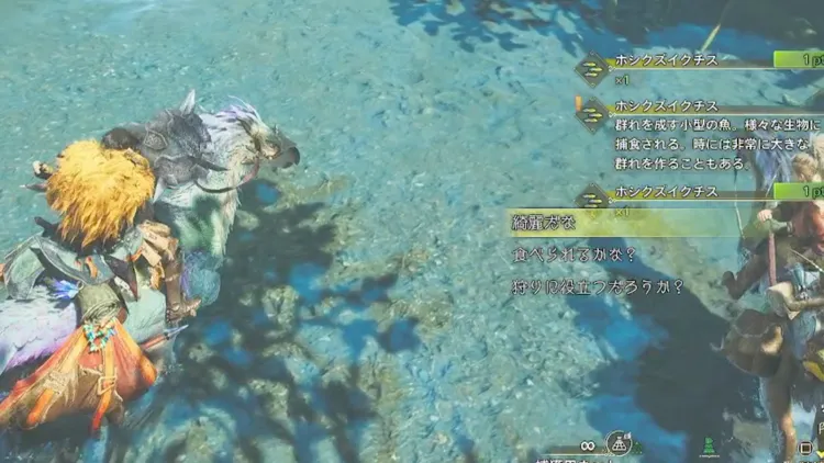 MHWi_捕獲用ネット_魚