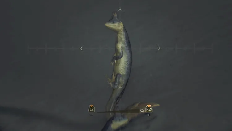 モンハンワイルズ_アシアトノコシ