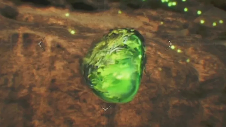 モンハンワイルズ_カイフクコロモムシ