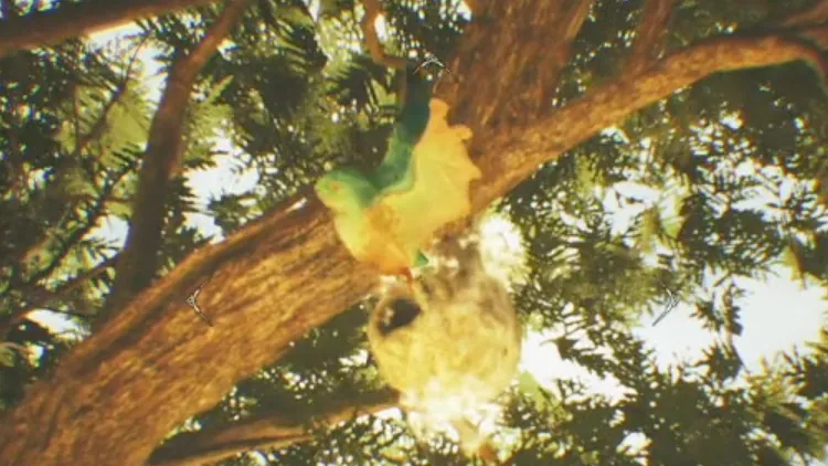 モンハンワイルズ_アワウタイズク