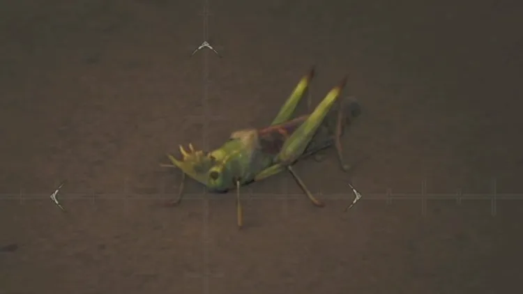 モンハンワイルズ_皇帝バッタ