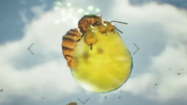 モンハンワイルズ_回復ミツムシ