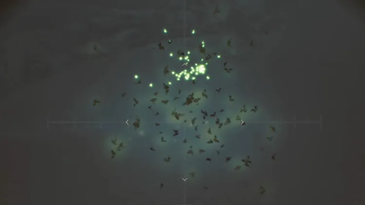 モンハンワイルズ_大雷光虫