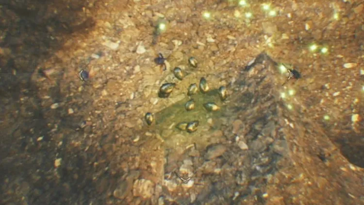 モンハンワイルズ_雷光虫