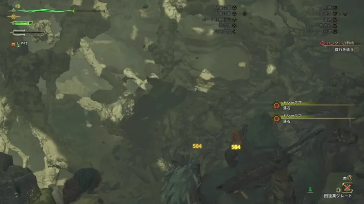 ワイルズ_序盤_10環境